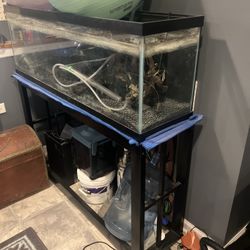40 Gallon Long Fish Tank With Stand And More!
