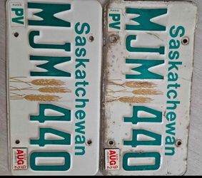 2 Authentic CANADIAN Collector's License plates 