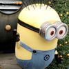 Haydee