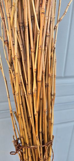 6.5 Feet Natural Thin Bamboo Stakes - Over 6 Feet Tall - Pack of?? TOO MANY TO COUNT!😍
✨️ALL For $20 Firm Price.
⚡️Slide through all pictures for mo