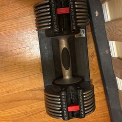 Bowflex And Unmarked 52lbs And 50lbs Adjustable Dumbbells