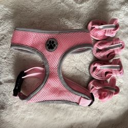 Dog Harness With Matching Dog Summer Shoes
