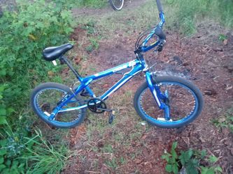 Dyno craft