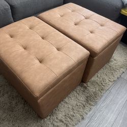 Cushion Storage Chairs