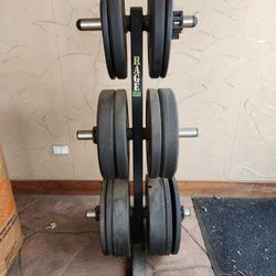 Bumper Plates And Plate Rack All Sold Separately 