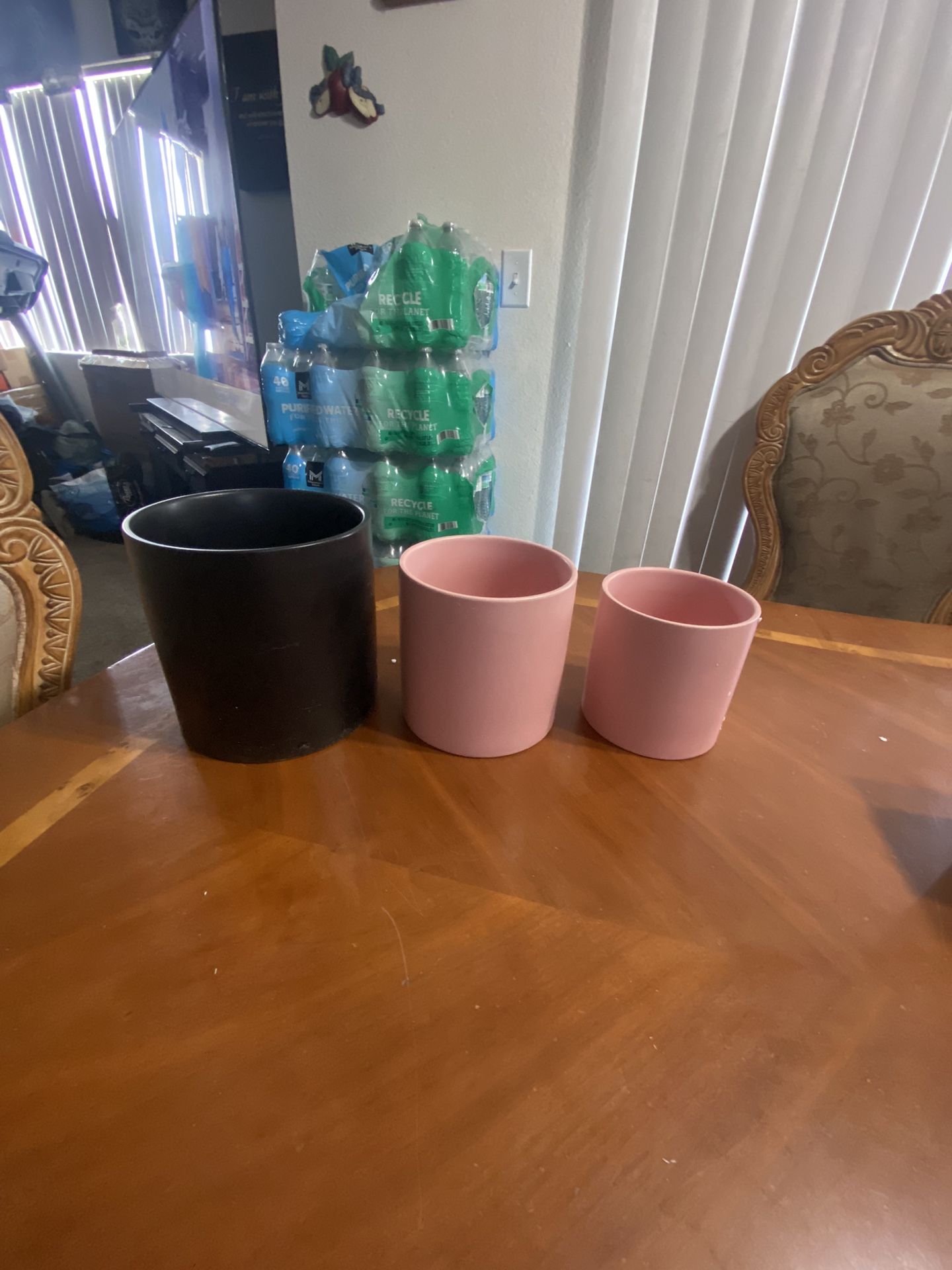 Ceramic Plant Pots
