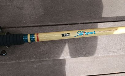 10ft Fishing Rod & reel
