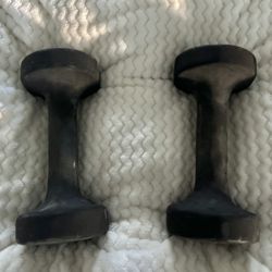 10 Lb.  Dumbbell Pair