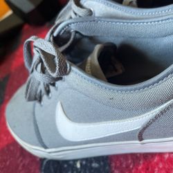 Nike Sb Skating Shoes. 