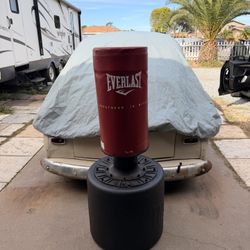 Punching Bag OBO