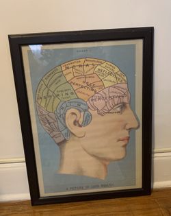 Framed "A Picture of Good Health" Chart