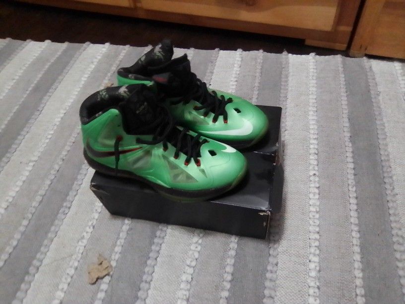 Lebron James 9.5