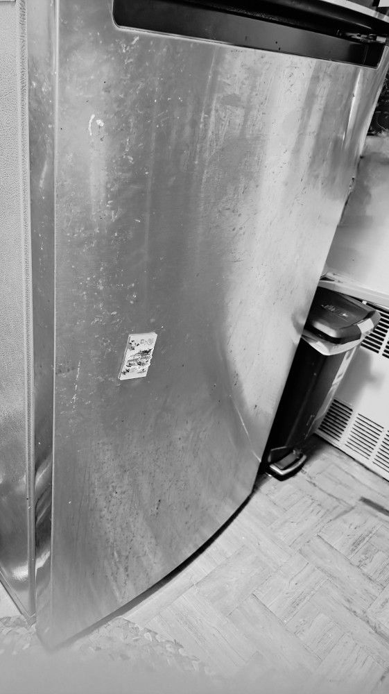 Stainless Steel Refrigerator (2017)