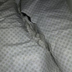 Retro 11 Jordan's (Gamma)