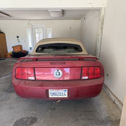 2005 Mustang