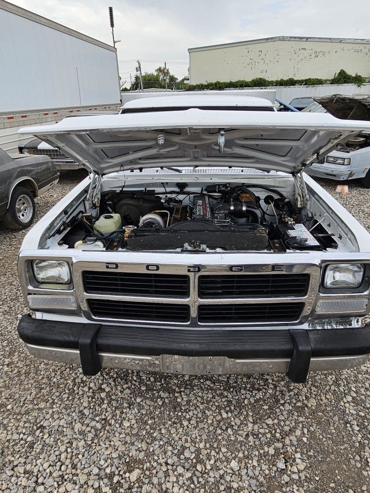 1991 Dodge D250