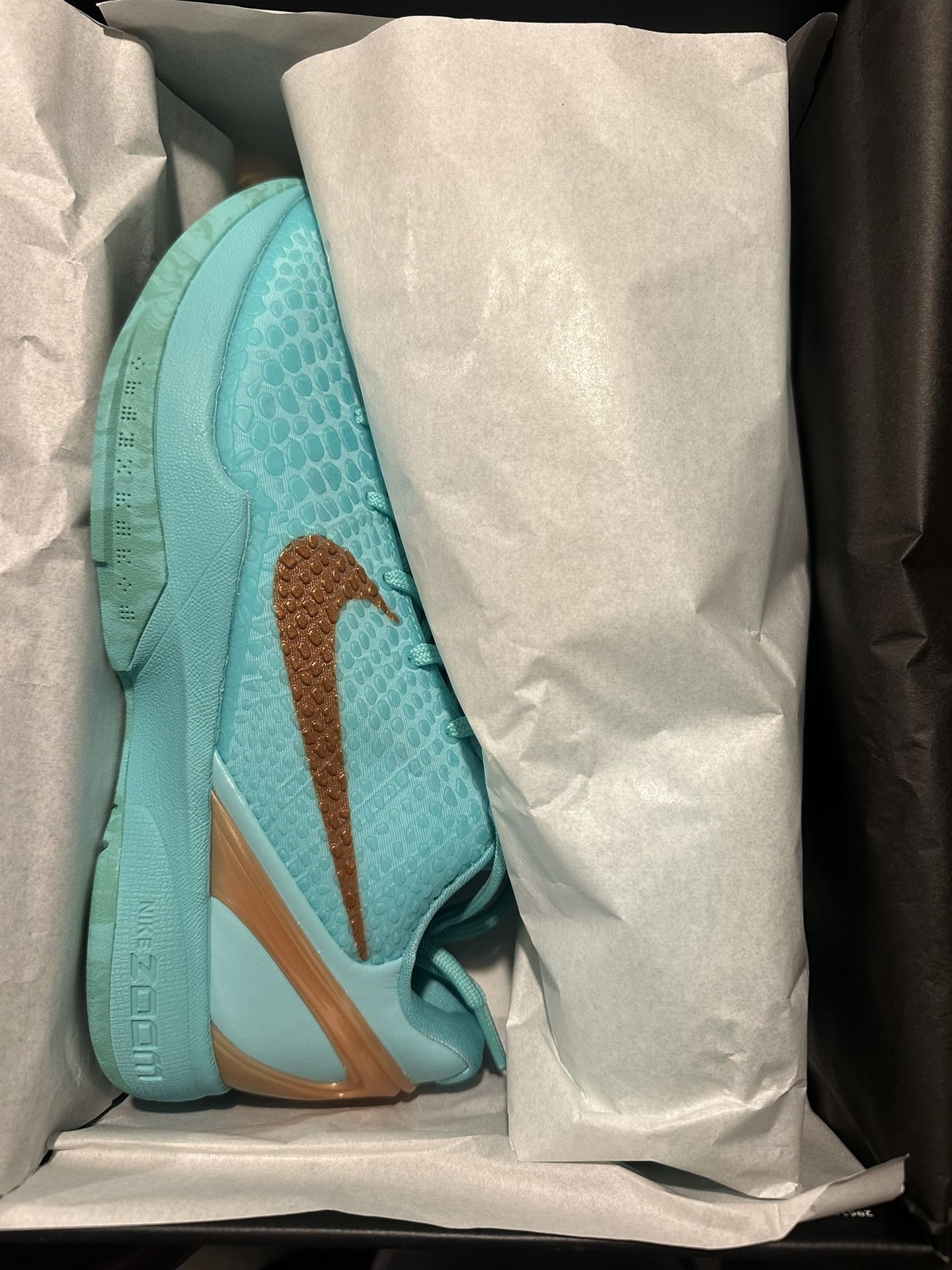 Kobe 6 Protro