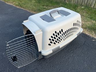 Dog Gear