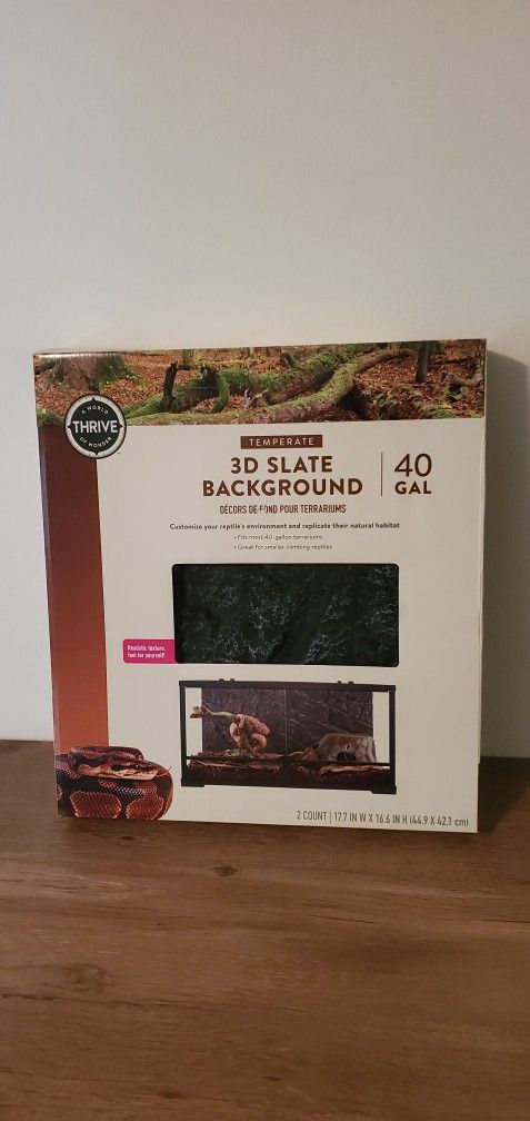 40 gal terrarium background wall