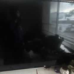 43" LG Smart TV-Free