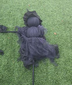3 black witches in the yard