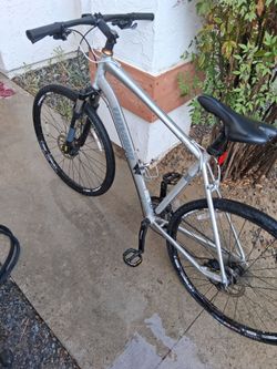 29 inch Novara Buzz