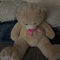 Super Cute Big Bear