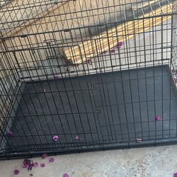 Xl dog kennel