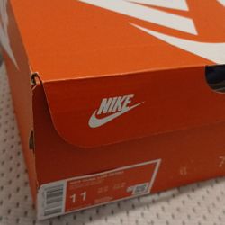 Nike Dunks Dead Stock size 11