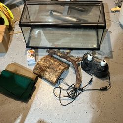 Terrarium Kit