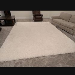Microplush Performance Shag Rug