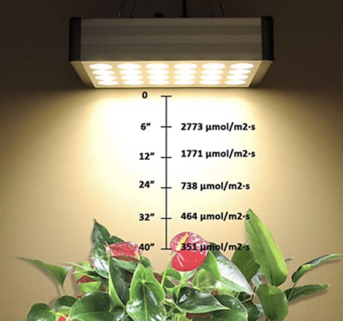 1200W Growing Lamps with Veg/Bloom Dual Switches, Timer Control Full Spectrum Grow Light Fixtures for Indoor Plants Growth 