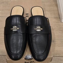 Brand New Coach Black Samie Leather Slide on Mule Shoes Size 7.  Comes With Original Box