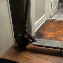 Electric Scooter