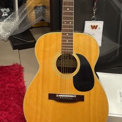 Carlos Acoustic Guitar Model 210