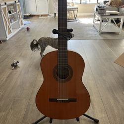 2 Guitars 