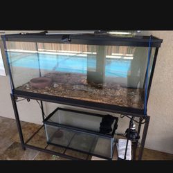 Reptile Cage Or Fish Tank