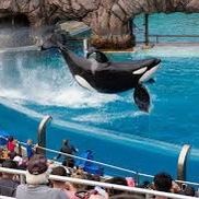 Seaworld Or Sesame Place Tickets + Parking