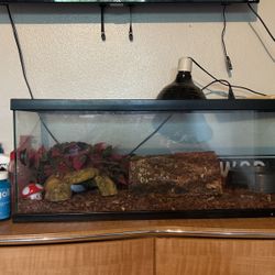 reptile/pet tank