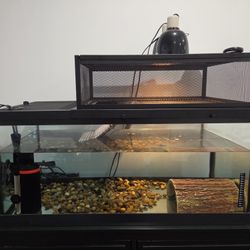 45 Gallon Fish/Turtle Tank