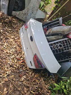 Trunk lid kia optimal 14