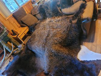 Buffalo Hide