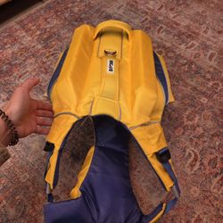 Dog Life Vest