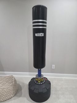 Punching Kickboxing Bag