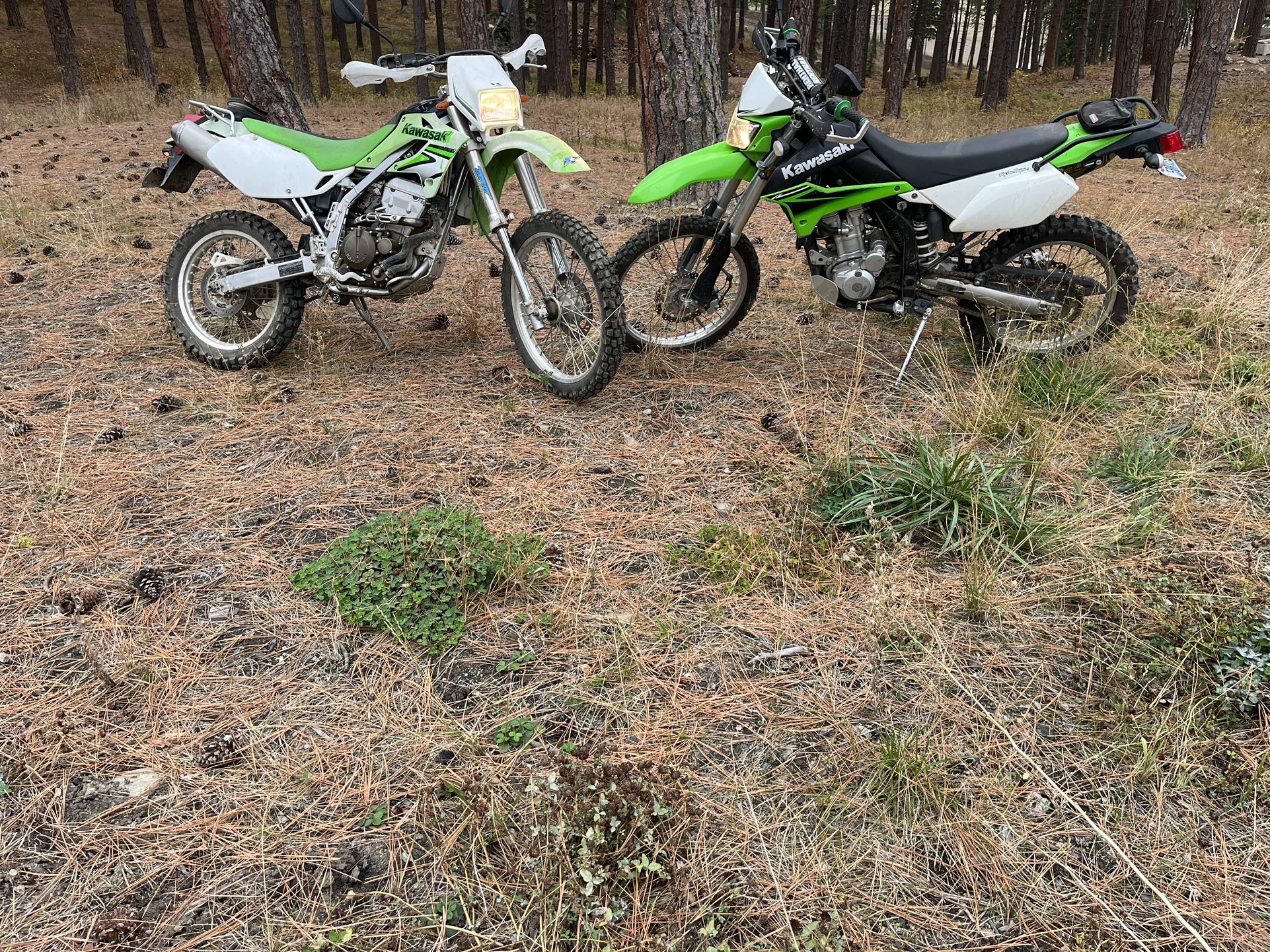 DUAL SPORT KLX 250