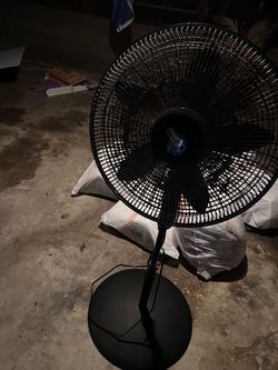 Fan