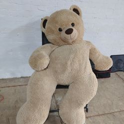 Teddy Bear