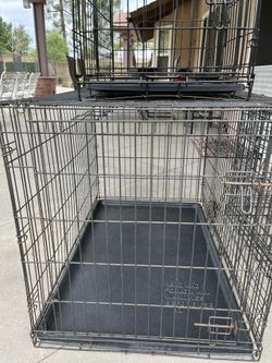 Dog Crates