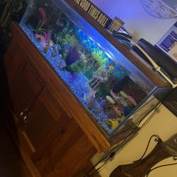 50 Gallon Fish Aquarium 