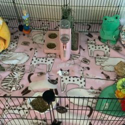 Guinea Pig Cage